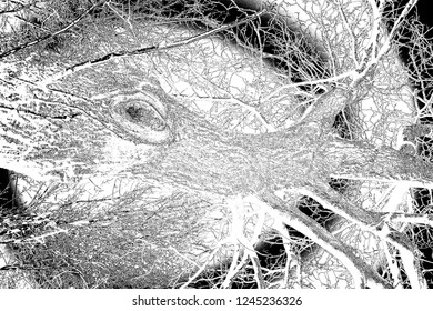 Abstract background. Monochrome texture. Image includes a effect the black and white tones.