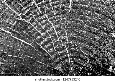 Abstract background. Monochrome texture. Image includes a effect the black and white tones.