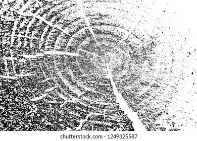 Abstract background. Monochrome texture. Image includes a effect the black and white tones.