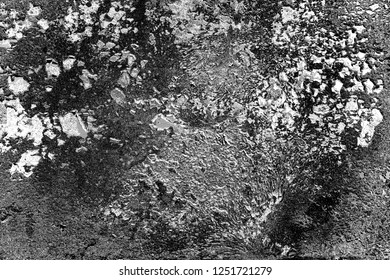Abstract background. Monochrome texture. Image includes a effect the black and white tones.