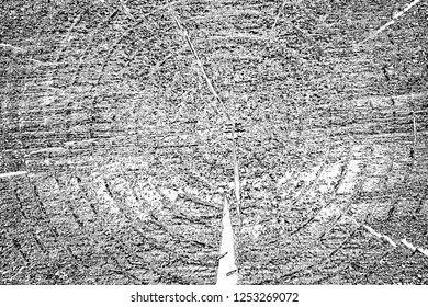 Abstract background. Monochrome texture. Image includes a effect the black and white tones.