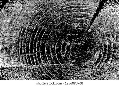 Abstract background. Monochrome texture. Image includes a effect the black and white tones.