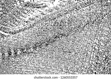 Abstract background. Monochrome texture. Image includes a effect the black and white tones.
