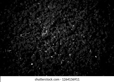 Abstract background. Monochrome texture. Image includes a effect the black and white tones.