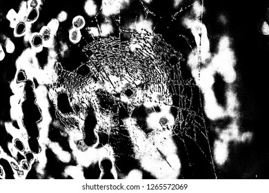 Abstract background. Monochrome texture. Image includes a effect the black and white tones.