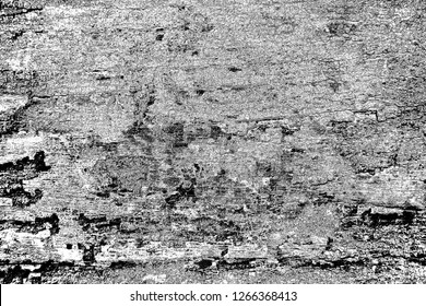 Abstract background. Monochrome texture. Image includes a effect the black and white tones.