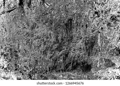 Abstract background. Monochrome texture. Image includes a effect the black and white tones.