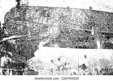 Abstract background. Monochrome texture. Image includes a effect the black and white tones.