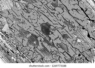 Abstract background. Monochrome texture. Image includes a effect the black and white tones.
