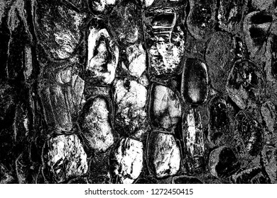 Abstract background. Monochrome texture. Image includes a effect the black and white tones.