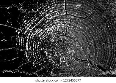Abstract background. Monochrome texture. Image includes a effect the black and white tones.