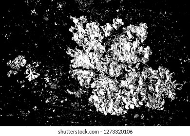 Abstract background. Monochrome texture. Image includes a effect the black and white tones.