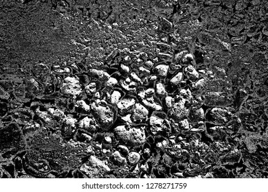 Abstract background. Monochrome texture. Image includes a effect the black and white tones.