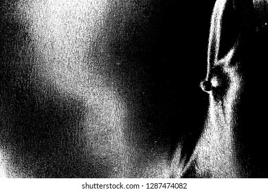 Abstract background. Monochrome texture. Image includes a effect the black and white tones.