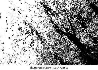 Abstract background. Monochrome texture. Image includes a effect the black and white tones.