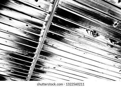 Abstract background. Monochrome texture. Image includes a effect the black and white tones.