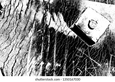 Abstract background. Monochrome texture. Image includes a effect the black and white tones.