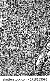Abstract background. Monochrome texture. Image includes a effect the black and white tones.
