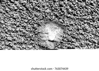 Abstract background. Monochrome texture. Image includes a effect the black and white tones.