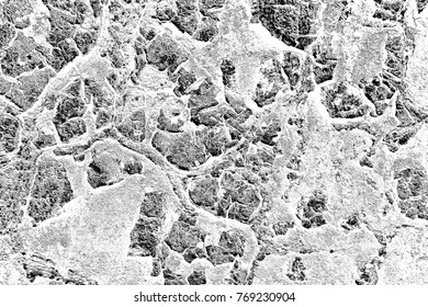 Abstract background. Monochrome texture. Image includes a effect the black and white tones.