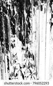 Abstract background. Monochrome texture. Image includes a effect the black and white tones.