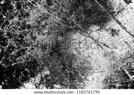 Similar – Image, Stock Photo tree cathedral Environment