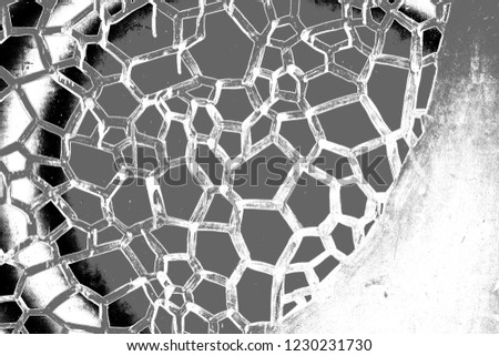 Similar – Foto Bild netzwerk Natur Winter Eis