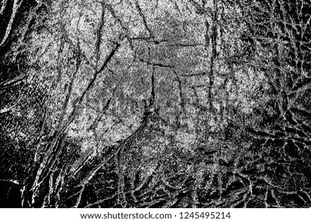 Similar – Image, Stock Photo tree cathedral Environment