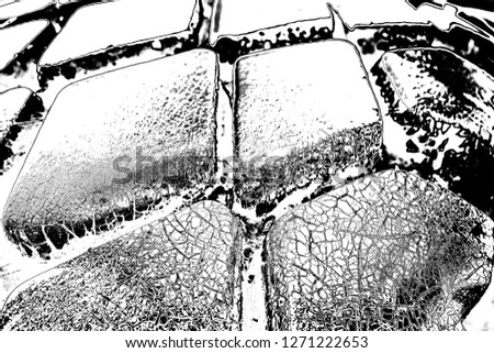 Similar – Image, Stock Photo snow tracks Snow