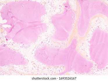 Abstract background oil stains. Pink, beige and white spots and stains