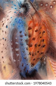 Abstract Background - Pheasant Feathers. Color Treated Pastel  Painting. 