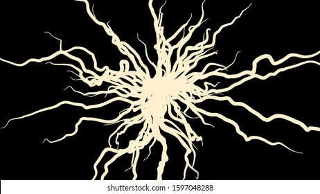 Abstract Beam Of Light With Many Bended Lines Spreading From Its Center On Black Background. Animation. Abstract Growing Tree Roots.