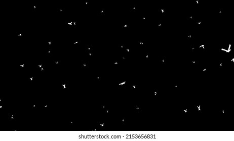 Abstract Birds In The Moonlight Fly Anxiously And Erratically Against A Dark Sky. Flying White Birds.  Any Video Presentation, Animated Film, Cinematic Clips Or Film Project. 3D. 4K. Isolated Black Ba