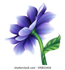 Abstract Blue Violet  Creative Flower Isolated On White Background