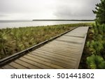 Abstract of boardwalk between pine woods and beach grass in Big Bay State Park on Madeline Island, Wisconsin, USA, with digital painting effect, for themes of recreation, tourism and the environment
