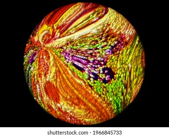 Abstract Bubbles Effect Background Digital Rendering