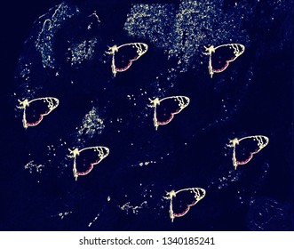 Abstract butterfly design