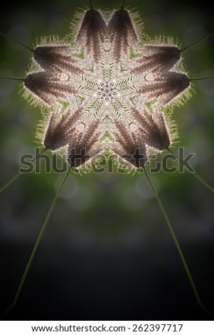 Similar – Foto Bild blau hängend Natur Pflanze