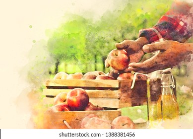 Abstract colorful holding apple fruits on watercolor illustration painting background. 