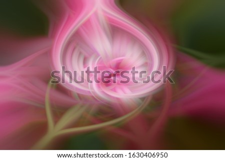 Similar – Image, Stock Photo Flower Magic