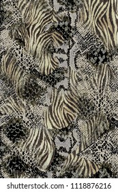 An abstract design that transforms an animal skin