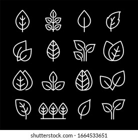 abstract eco set of chalk linear icons of leaf, branches and trees on chalkboard