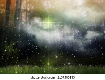 Abstract fantasy forest with heavy fog, photomanipulation.