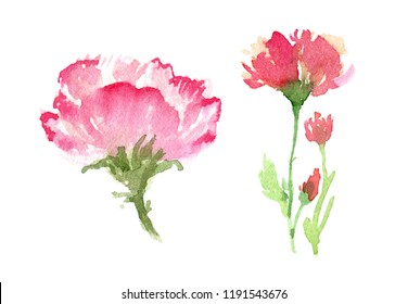 Abstract Flowers Watercolor Drawing Set Isolated Stock Illustration ...