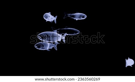 Similar – Image, Stock Photo Under the sea… Sea water