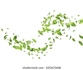 Abstract Foliage Background. Green Flying Leaves On White Background