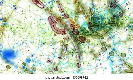 Abstract fractal micro organisms on a white background.