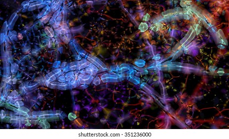 Abstract fractal micro organisms on a black background.