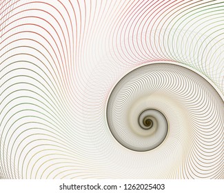 Abstract Fractal Spiral. Shell Background, Spiral Symmetry Fibonacci Shell Section. Half Cross, Golden Ratio Structure, Growth Close Up Pompilius Nautilus