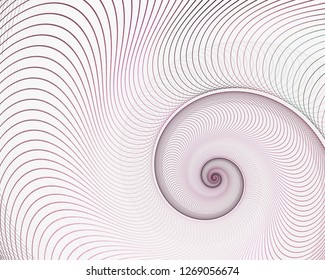 Abstract Fractal Spiral. Shell Background, Spiral Symmetry Fibonacci Shell Section. Half Cross, Golden Ratio Structure, Growth Close Up Pompilius Nautilus